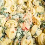 Plate of tortellini with salmon, garnished with herbs and sauce
