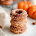Pumpkin spice baked donuts topped with cinnamon sugar