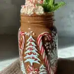 Chocolate peppermint smoothie in a glass with a mint garnish