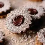 Chocolate Hazelnut Linzer Cookies decorated with powdered sugar
